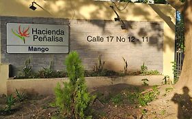Hacienda Peñalisa Mango